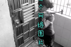 周至专业讨债公司有哪些核心服务？