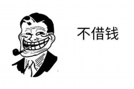 周至为什么选择专业追讨公司来处理您的债务纠纷？